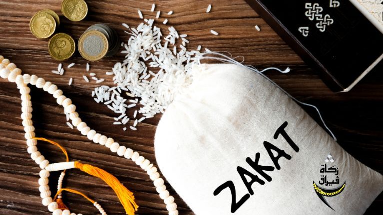 index.php?option=com_content&view=article&id=141&catid=21